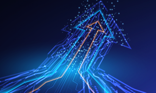 Optimizing Sales, Logistics and Supply Chains in the DIY, Garden and Pet Supplies Industries